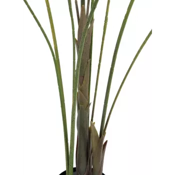 EUROPALMS Areca a foglia larga Palma di Areca artificiale, 185 cm (82509442)