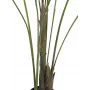 EUROPALMS Areca a foglia larga Palma di Areca artificiale, 185 cm (82509442)