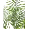 EUROPALMS Areca a foglia larga Palma di Areca artificiale, 185 cm (82509442)