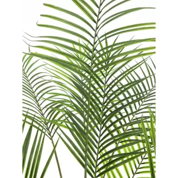 EUROPALMS Areca a foglia larga Palma di Areca artificiale, 185 cm (82509442)