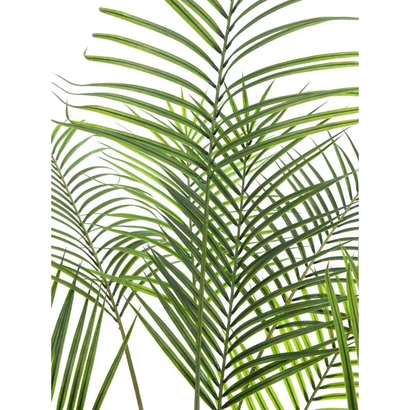 EUROPALMS Areca a foglia larga Palma di Areca artificiale, 185 cm (82509442)