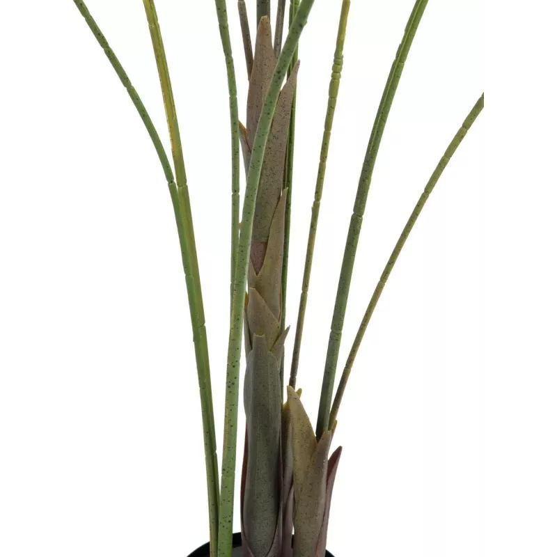 EUROPALMS Areca a foglia larga Palma di Areca artificiale, 185 cm (82509442)