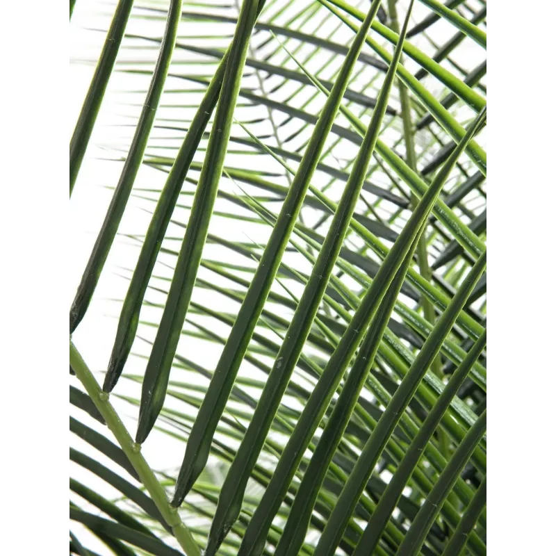 EUROPALMS Phoenix Palm Deluxe Pianta artificiale 220 cm 82509722