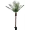 EUROPALMS Phoenix Palm Deluxe Pianta artificiale 220 cm 82509722