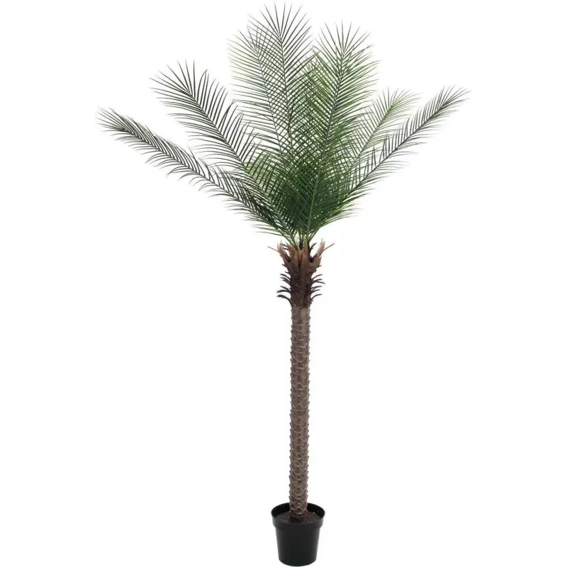 EUROPALMS Phoenix Palm Deluxe Pianta artificiale 220 cm 82509722