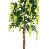 EUROPALMS Maggiociondolo pianta artificiale, giallo, 180 cm 82507116