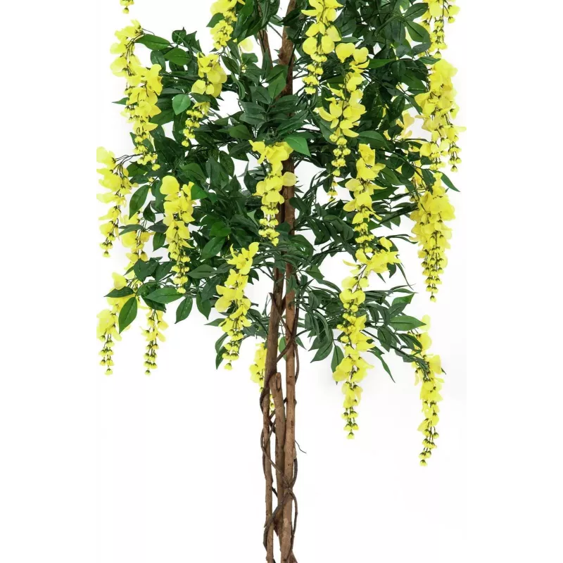 EUROPALMS Maggiociondolo pianta artificiale, giallo, 180 cm 82507116