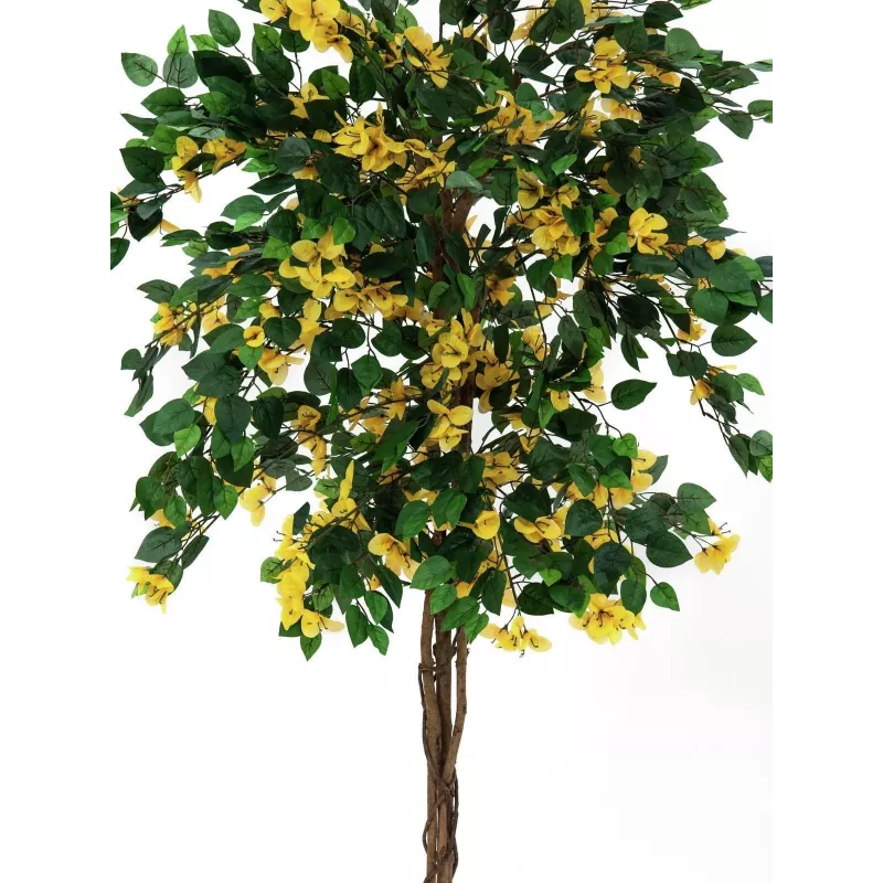 EUROPALMS pianta artificiale Bougainvillea, gialla, 180 cm 82507081