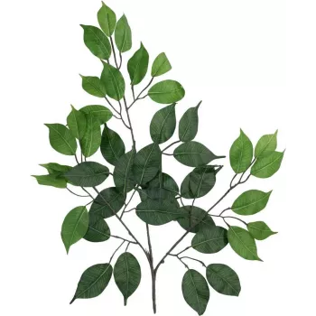 EUROPALMS ramo artificiale di Ficus benjamina, confezione da 12 82506101