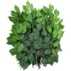 EUROPALMS ramo di ficus benjamina artificiale, confezione da 12 82506101