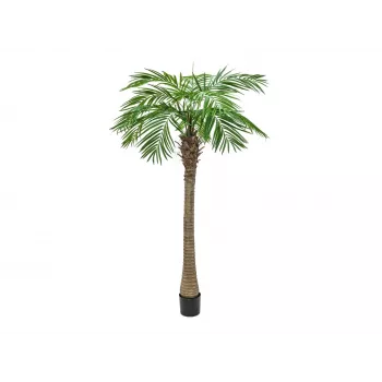EUROPALMS Phoenix Palm Luxor pianta artificiale, 210cm 82510721