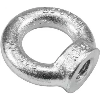 ZUBEHÖR anello con dado M20 DIN 582 C15 acciaio dado ad anello di sollevamento 30001178