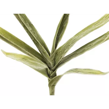 EUROPALMS ramo di yucca artificiale (EVA), verde 82531063