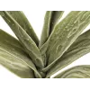 EUROPALMS ramo di yucca artificiale (EVA), verde 82531063