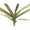 EUROPALMS ramo di yucca artificiale (EVA), verde 82531063