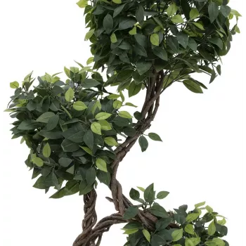 EUROPALMS Ficus Multi Spiral Trunk pianta artificiale, 160 cm 82501563