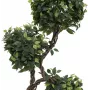 EUROPALMS Ficus Multi Spiral Trunk pianta artificiale, 160 cm 82501563