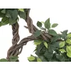 EUROPALMS Ficus Multi Spiral Trunk pianta artificiale, 160 cm 82501563