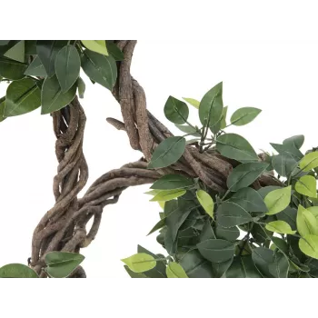 EUROPALMS Ficus Multi Spiral Trunk pianta artificiale, 160 cm 82501563