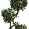 EUROPALMS Ficus Multi Spiral Trunk pianta artificiale, 160 cm 82501563