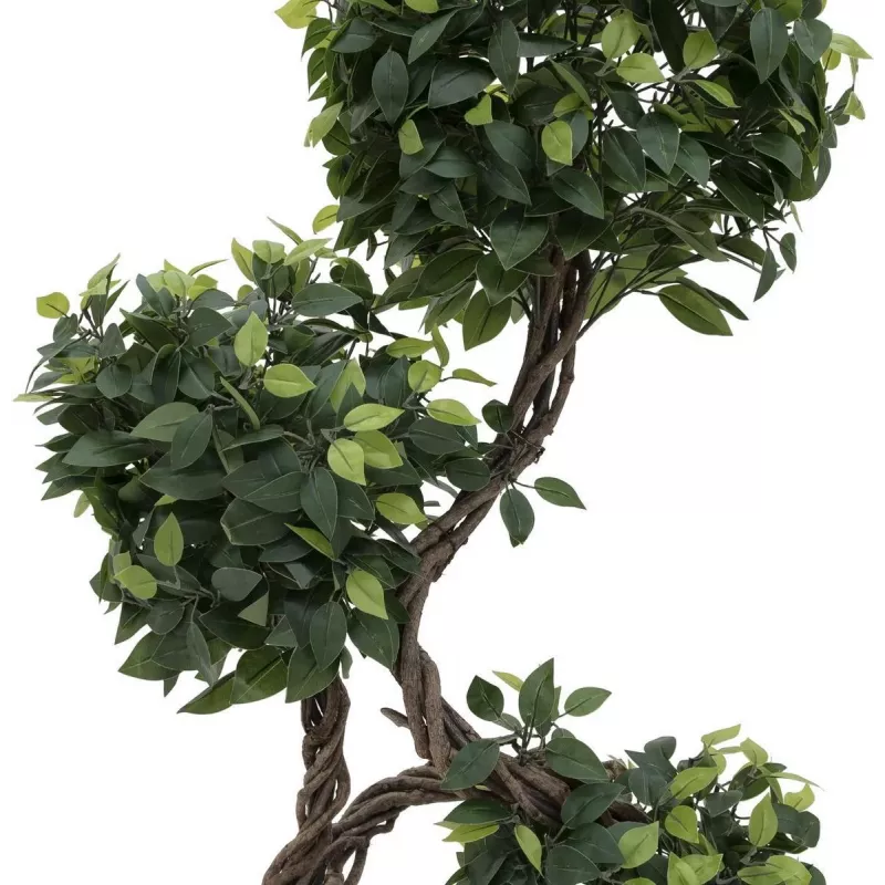 EUROPALMS Ficus Multi Spiral Trunk pianta artificiale, 160 cm 82501563