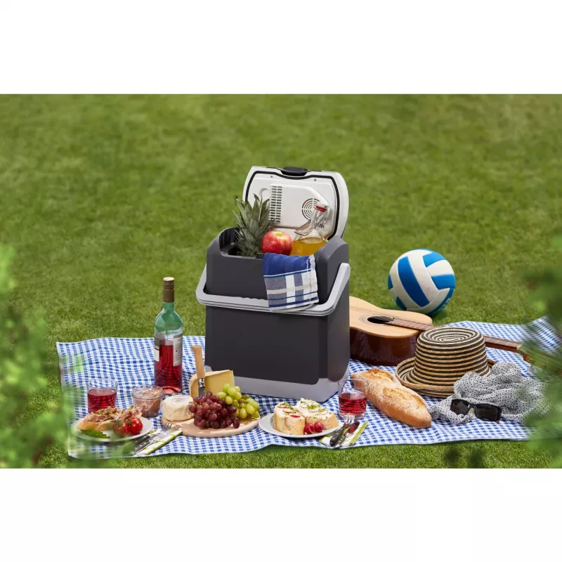AEG KK 14 frigorifero termoelettrico e scaldavivande 12V/DC grigio 14L 10695
