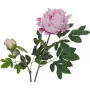 EUROPALMS ramo di peonie premium pianta artificiale, rosa, 100cm 82530220