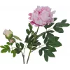EUROPALMS ramo di peonie premium pianta artificiale, rosa, 100cm 82530220