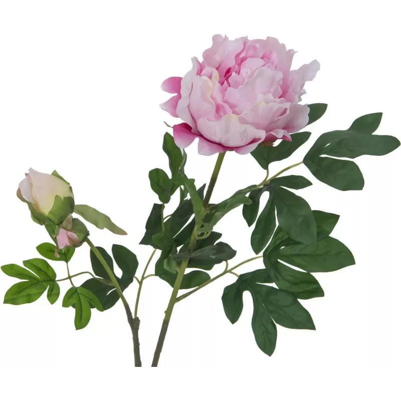 EUROPALMS ramo di peonie premium pianta artificiale, rosa, 100cm 82530220