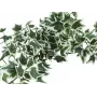 EUROPALMS Holland Ivy Bush Screen Classic, artificiale, 100 cm 82502212