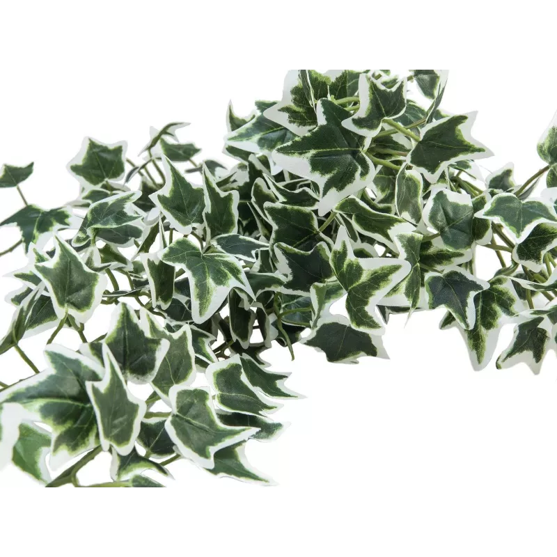 EUROPALMS Holland Ivy Bush Screen Classic, artificiale, 100 cm 82502212