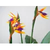 EUROPALMS pianta artificiale Strelitzia, 90 cm 82540502