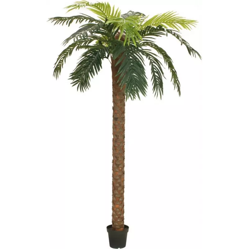 EUROPALMS Phoenix Palm Deluxe pianta artificiale, 250cm 82509724