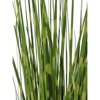 EUROPALMS Zebra Grass, artificiale, 90cm 82505863