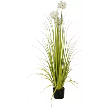 EUROPALMS Pianta artificiale Allium, bianco, 120 cm 82600169