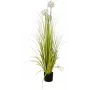 EUROPALMS Pianta artificiale Allium, bianco, 120 cm 82600169