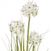 EUROPALMS Pianta artificiale Allium, bianco, 120 cm 82600169