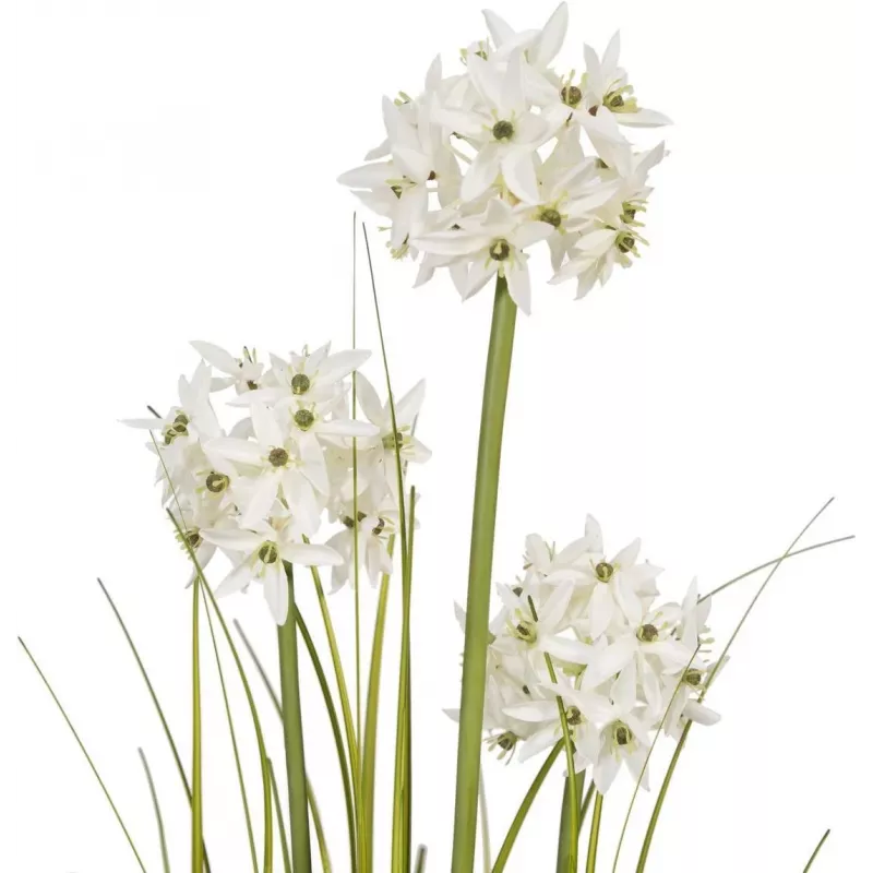 EUROPALMS Pianta artificiale Allium, bianco, 120 cm 82600169