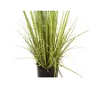 EUROPALMS Cespuglio sempreverde con erba, pianta artificiale, 182 cm 82600185
