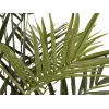 EUROPALMS Kentia Palma pianta artificiale 300cm 82511369