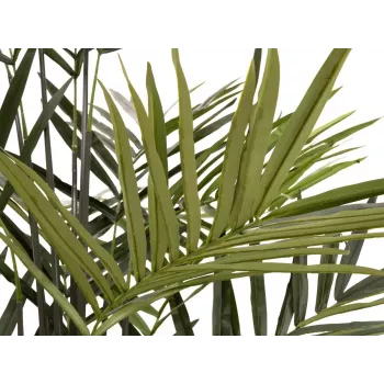 EUROPALMS Kentia Palma pianta artificiale 300cm 82511369