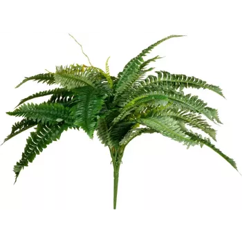 EUROPALMS Boston Felce pianta artificiale, 53cm, verde 82519934