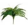 EUROPALMS Boston Felce pianta artificiale, 53cm, verde 82519934