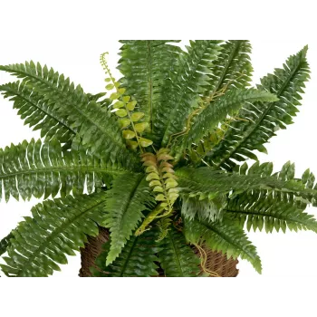 EUROPALMS Boston Felce pianta artificiale, 53cm, verde 82519934