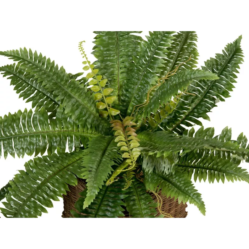 EUROPALMS Boston Felce pianta artificiale, 53cm, verde 82519934
