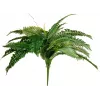 EUROPALMS Boston Felce pianta artificiale, 53cm, verde 82519934