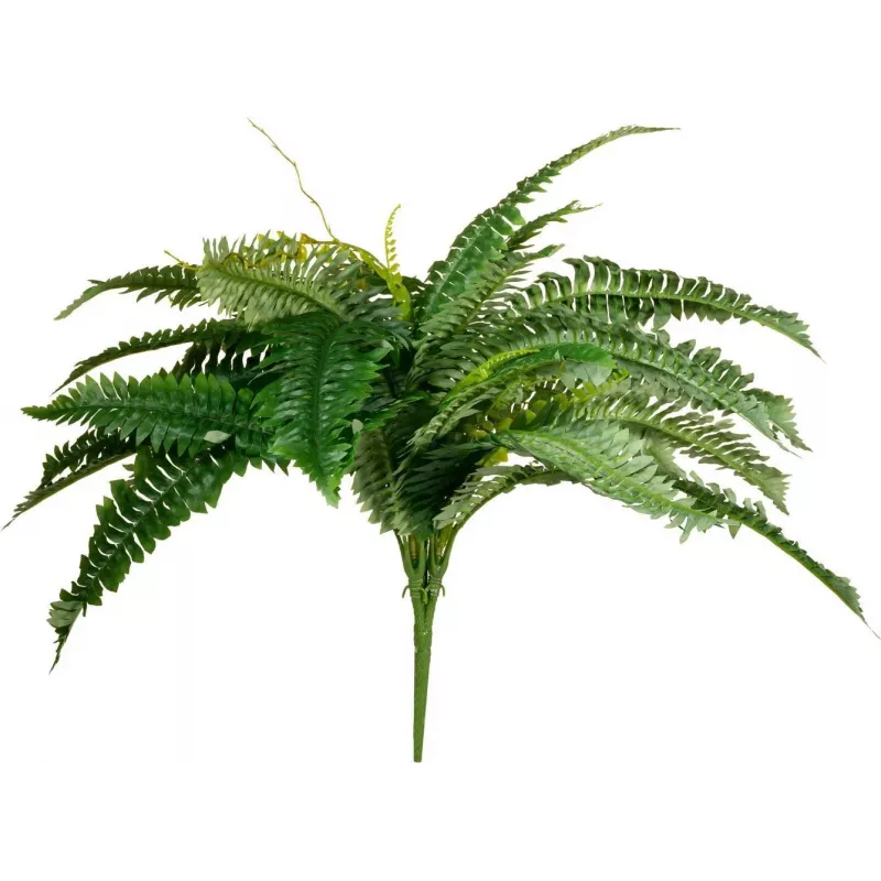 EUROPALMS Boston Felce pianta artificiale, 53cm, verde 82519934