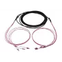 SYNERGY21 S217051V2 Cavo trunk LC/LC OM4 50/125µm 4 fibre da 20m, halogen-free, anello
