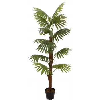 EUROPALMS Palma a ventaglio pianta artificiale, 155cm 82509303