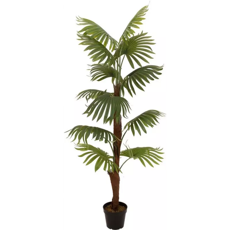 EUROPALMS Palma a ventaglio pianta artificiale, 155cm 82509303